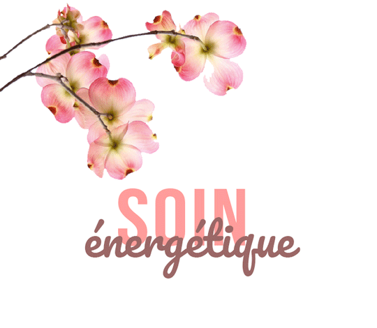 retrouver énergie et bien être par les soins énergétiques illustré ici par un cerisier du Japon en fleurs